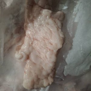 دنبه گوسفندی منجمد (خُرده دنبه)