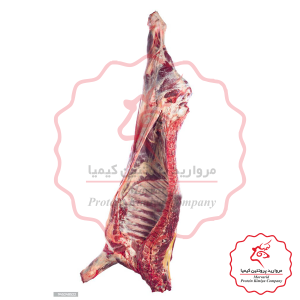 نیم لاشه گوساله نر