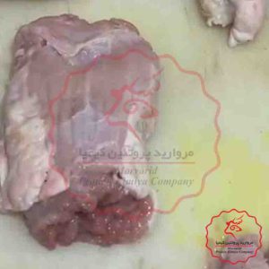 سر روده گوساله